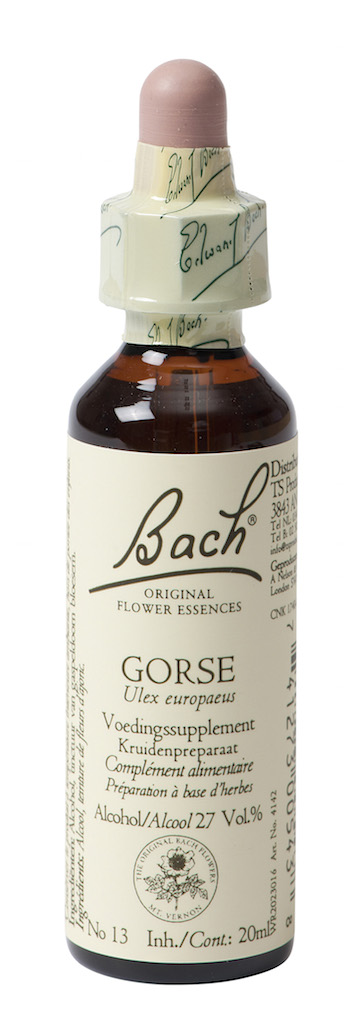 Bach Flower Remedies Gaspeldoorn 13