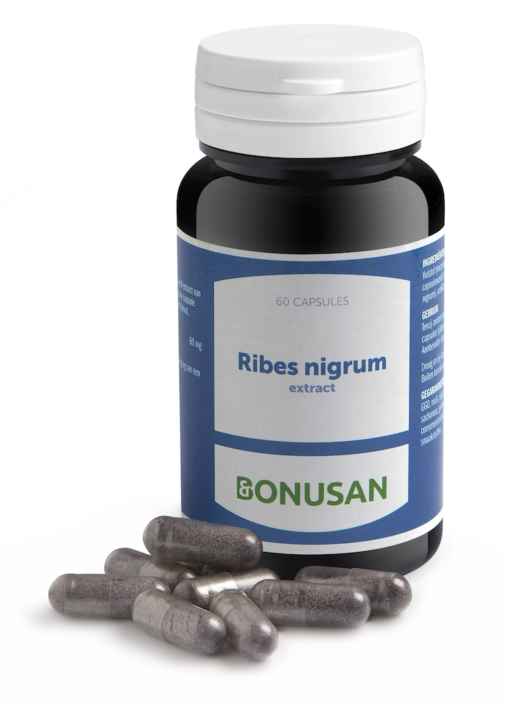 Bonusan Ribes Nigrum Extract Capsules
