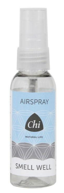 Chi Smell Well Airspray