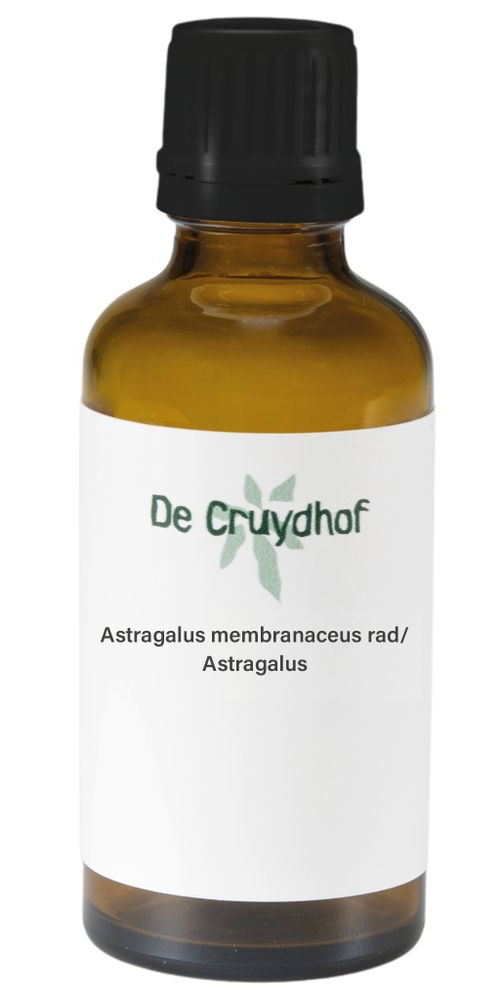 Cruydhof Astragalus Membranaceus/Astragalus Druppels afbeelding