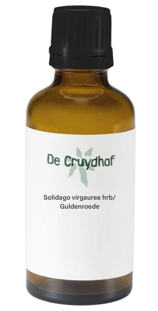 Cruydhof Solidago Virgaurea Hrb/Guldenroede Druppels afbeelding