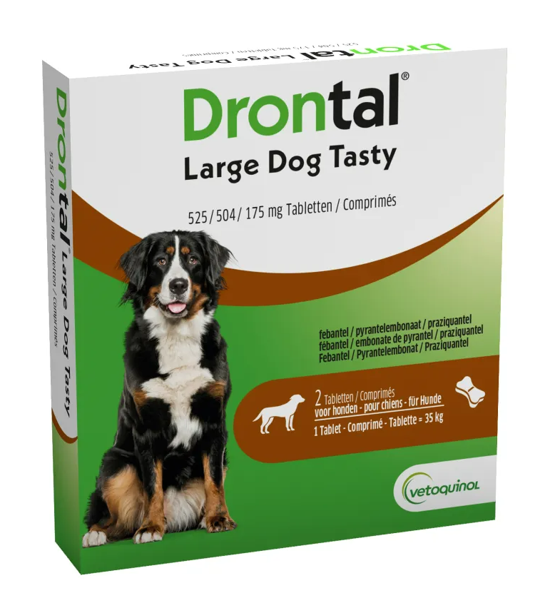 Drontal Hond Large Dog Tasty