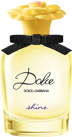 Dolce & Gabbana Shine Eau De Parfum Pour Femme