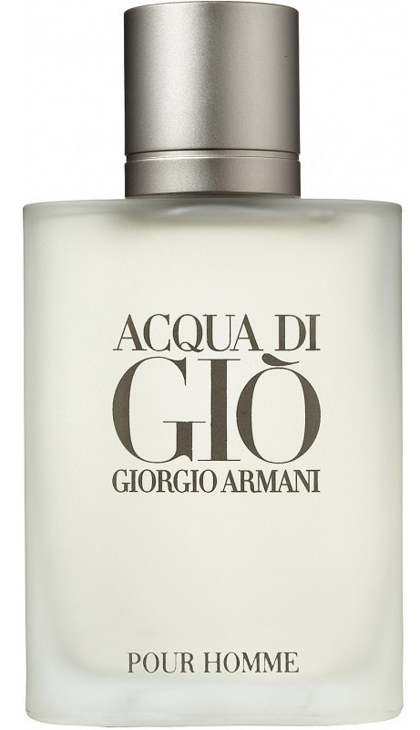 Giorgio Armani Acqua Di Gio Pour Homme Eau De Toilette 100ml