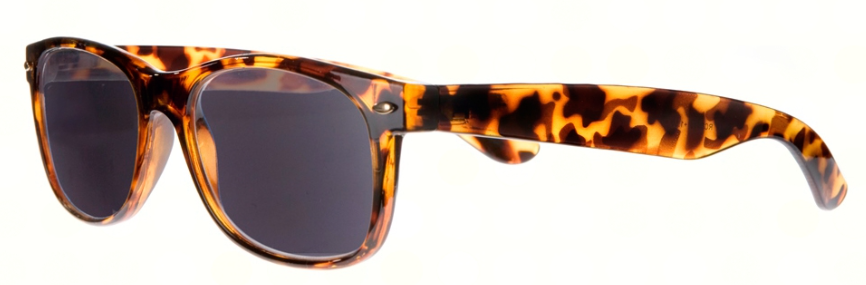 Icon Eyewear Wayefair RBD013 +2.00