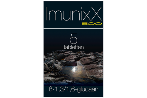 IxX ImunixX 500 Tabletten 5st