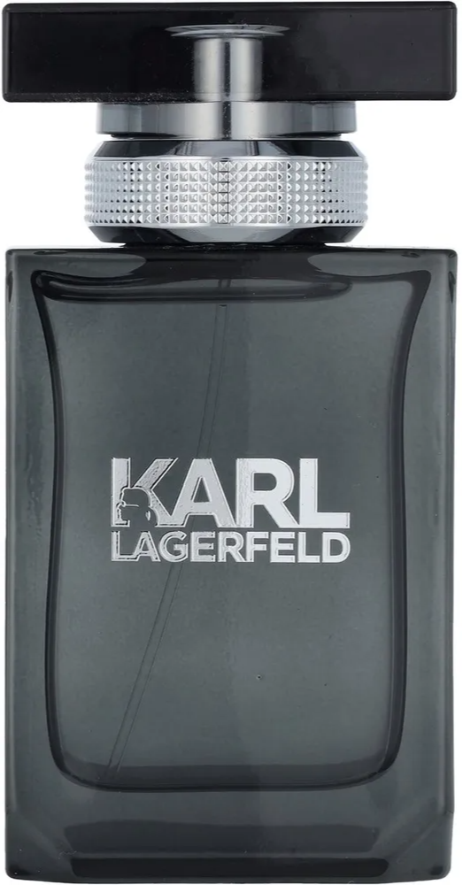 Karl Lagerfeld Pour Homme Eau de Toilette afbeelding