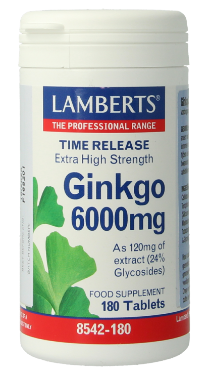 Lamberts Ginkgo 6000mg Time Release Tabletten