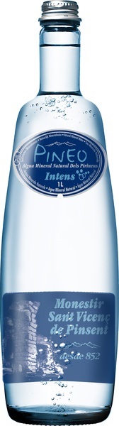 Pineo Intens Bruisend Water