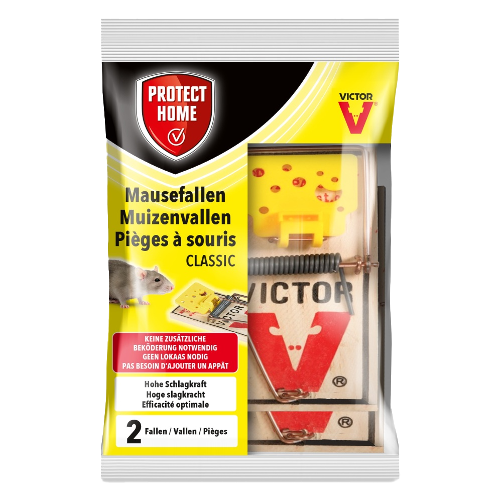 Protect Home Muizenvallen afbeelding