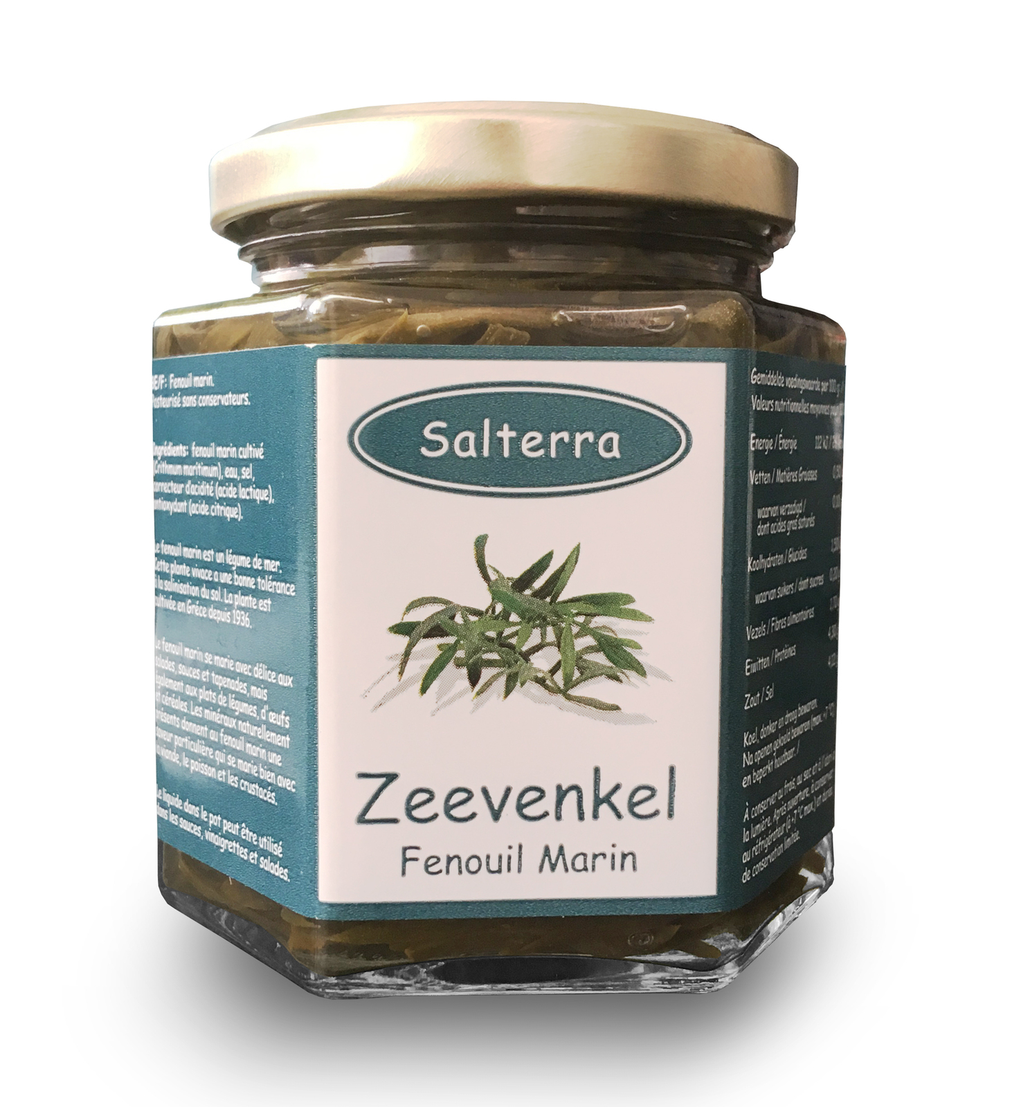 Salterra Zeevenkel