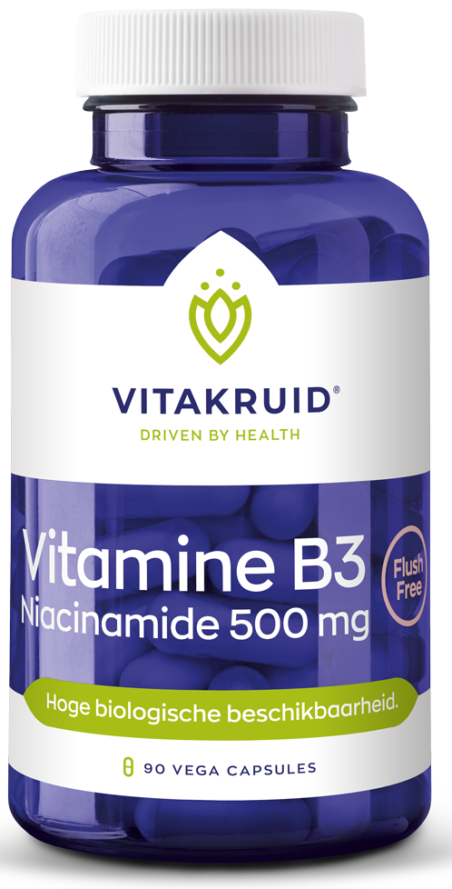 Vitakruid B3 Niacinamide 500mg Capsules