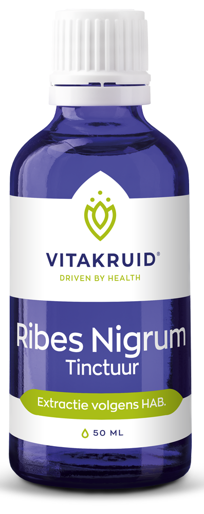 Vitakruid Ribes Nigrum Tinctuur 50ml