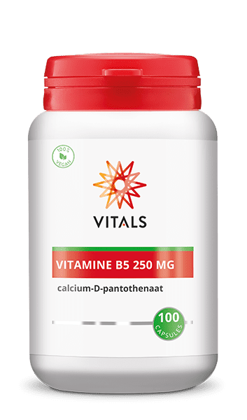 Vitals Vitamine B5 250mg Capsules