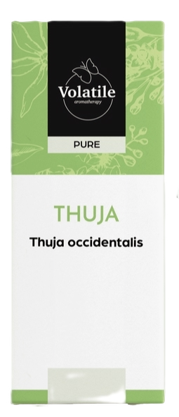 Volatile Thuja (Thuja Occidentalis) afbeelding