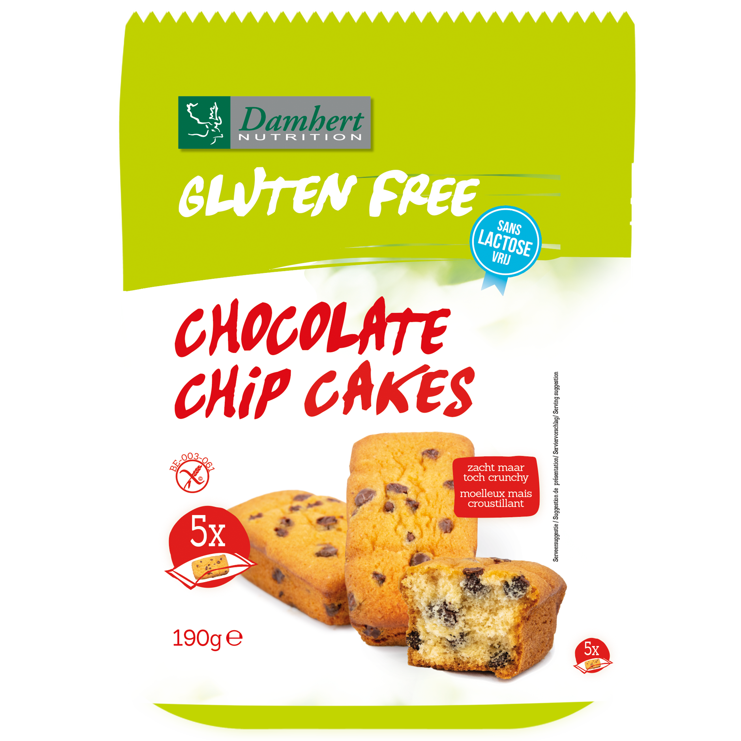 Damhert Gluten Free Lactose Free Choco Chip Cakes