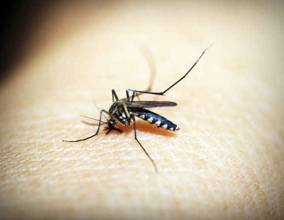 Deet op de huid tegen muggen