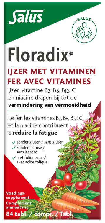Salus Floradix IJzer Tabletten afbeelding