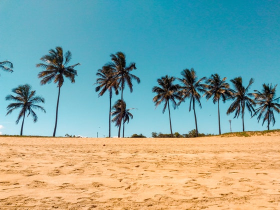 een mooi strand met de zee en palmbomen