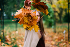 vrouw gooit herfstkleurige bladeren in de lucht