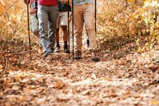 Close-up van de benen van wandelaars die door het bos lopen. Herfsttijd.