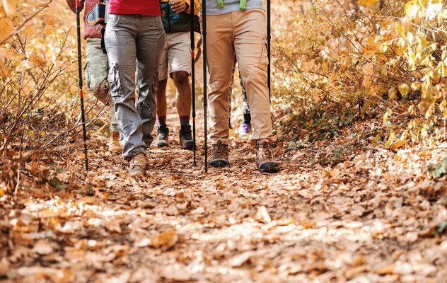 Close-up van de benen van wandelaars die door het bos lopen. Herfsttijd.