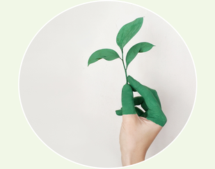 Groen en duurzaamheid uitgebeeld door een plantje en een hand