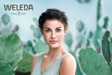 cactusveld met vrouw in het midden