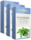 Cydonia Ravensara Voordeelverpakking Vaginaaltabletten 3x10TB Cydonia Ravensara Voordeelverpakking Vaginaaltabletten 3x10TB