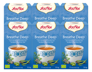 Yogi Tea Breathe Deep Voordeelverpakking 6x17ST Yogi Tea Breathe Deep Voordeelverpakking 6x17ST