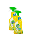 Dettol Power & Fresh Allesreiniger Citrus Spray Duo 2x500ML 
