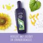 Andrelon Men Iedere Dag Shampoo - Multiverpakking 4x300ML1