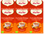 Yogi Tea Curcuma Orange thee Voordeelverpakking 6x17ST