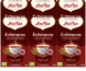 Yogi Tea Echinacea Voordeelverpakking 6x17ST 
