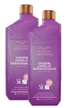 Bruynzeel Cosmetic Homecare Groene Aanslagverwijderaar Power Formule 2x1LT