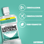 Listerine Naturals Mild Mint Mondspoeling 500ML4