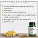 Vanan Boswellia Capsules 60CP 47406 Vanan Boswellia Capsules 60CP 47406