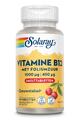 Solaray Vitamine B12 Met Foliumzuur 90TB