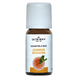 Jacob Hooy Essentiële Olie Summer Session 10ML 