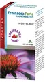 Fytostar Echinacea Forte Kauwtabletten 60KTB