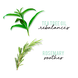 Hask Teatree Oil & Rosemary Conditioner 355ML ingredienten hask conditioner