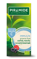 Piramide Groene Thee Immuun 20ST