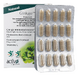 Activo Ginkgo Plus Capsules 60CP Verpakking met capsule strip ernaast Activo Ginkgo Plus Capsules 60CP Verpakking met capsule strip ernaast