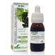 Soria Natural Ribes Nigrum Extract Glycine XXI Druppels 50ML 