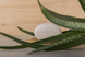 HappySoaps Aloevera Shavingbar 80GR aloe vera plant sfeerbeeld