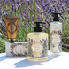 Panier des Sens Relaxing Lavender Bodylotion 250ML Panier Des Sens Relaxing Lavender Bodylotion_2 Panier des Sens Relaxing Lavender Bodylotion 250ML Panier Des Sens Relaxing Lavender Bodylotion_2