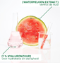 Garnier Skin Active Watermeloen Hyaluron Masker 1ST2