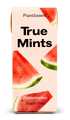 True Gum Mints Watermelon Pastilles 13GR