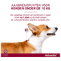 Bayer Advantix 250/1250 Spot-on Solution 4STaanbrengpunten voor honden < 10 kg
