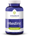 Vitakruid Intestina Tabletten 120TB